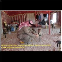 29292 02 0096 Falken, koenigliche Kamelfarm, Bahrain, Emirate 2017.jpg